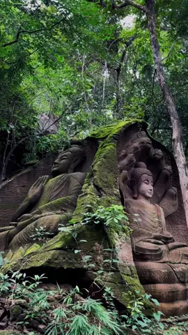 วัดภูดานไห จ.กาฬสินธุ์ #fyp #โบราณ #เที่ยวหน้าฝน #กุฉินารายณ์ #วัดภูดานไห