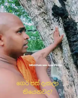 ගෙරි පස්😲