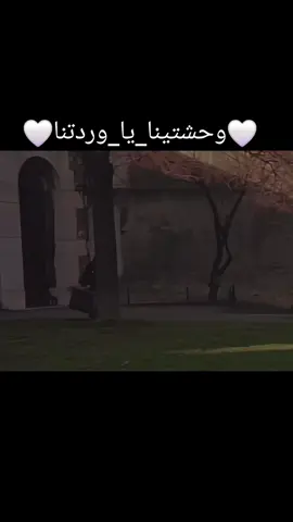 #وحشتينا_يا_وردتنا🌸🩷🌸🩷🌸🩷🌸🩷🌸🩷🌸 #عشاق_وردة_الجزائرية #كلاسيكيات_زمن_الفن_الجميل #طربيات_الزمن_الجميل #روائع_الفن_الجميل 