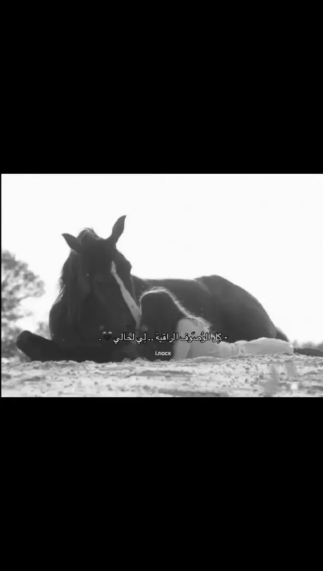 #🎀 #اكسبلورexplore #هاشتاق #ليك______🖤___متابعه____اكسبلووور #القريات 