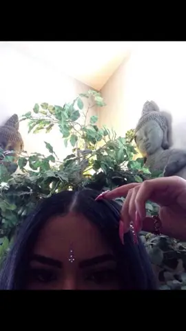 #2015 #nature #aesthetic 