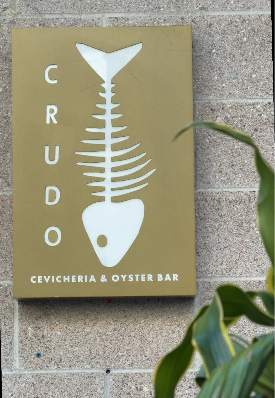 what we ate at @Crudo.cevicheria's weekday happy hour!🍴 #ceviche #mexicanfood #downtownsandiego #happyhour #sandiegofood 