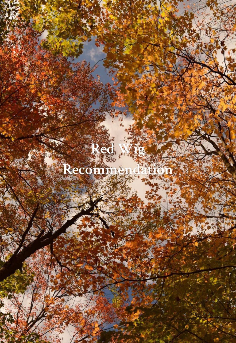 Halloween costume #halloween #halloweencostume #halloweenidea #halloweeninspo 