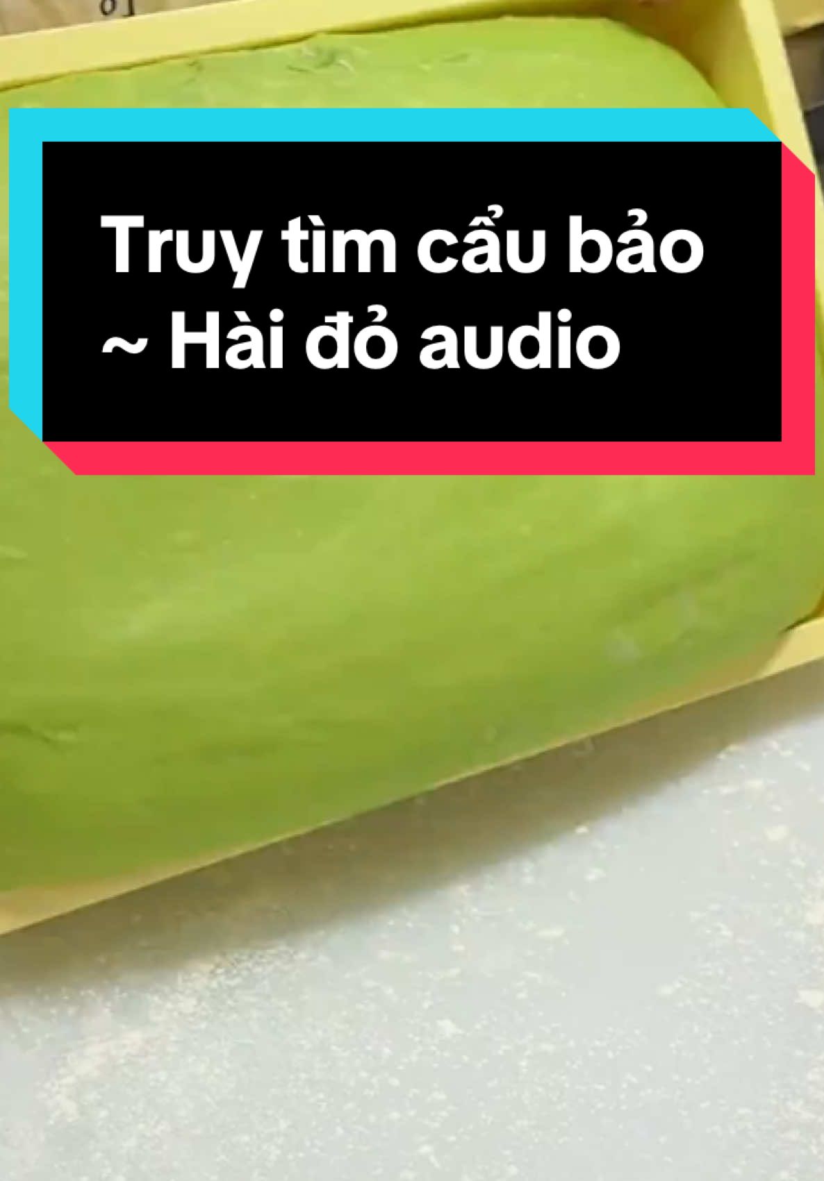 Truy tìm cẩu bảo #truyenaudio #audio #reviewtruyen #haidoaudio 