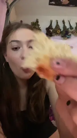 little c again!!! #mukbang #jokes #fyp #littlecaesars 