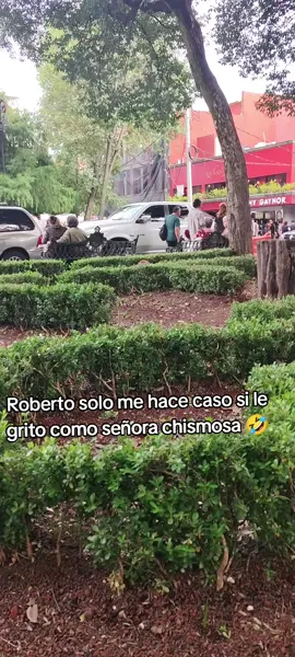 @unpelitodeayuda mira!!! 🤣 #amoalosperros #patitasermitañas #fyppppppppppppppppppppppp #perro #fyp 