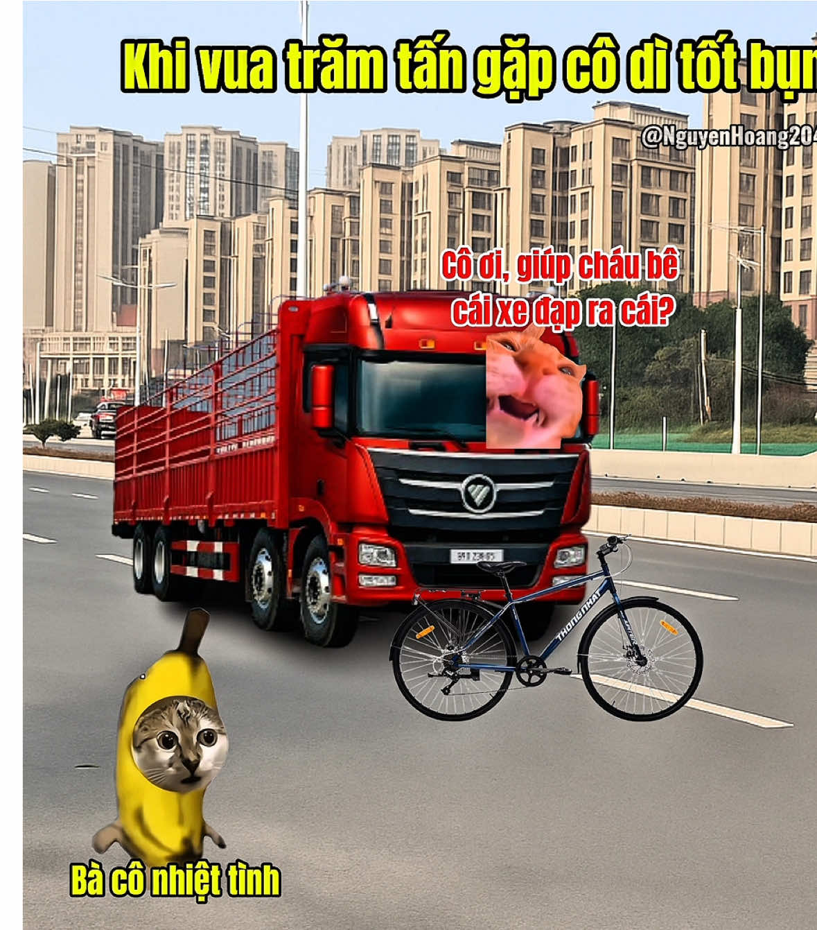 Khi vua trăm tấn gặp cô dì  tốt bụng #meme #catmeme 