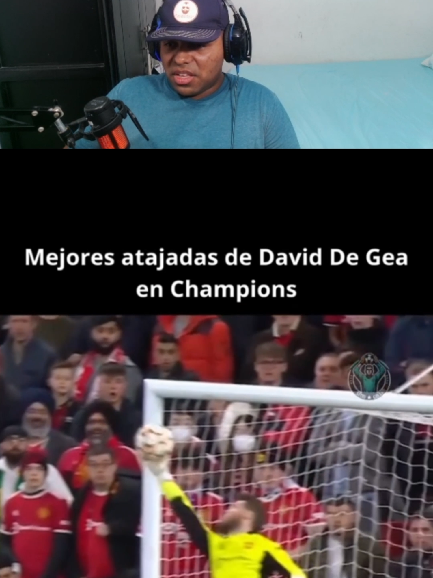 las mejores atajadas de david De Gea #Portero #Atajadas #Saves #TikTokFutbol #Highlights #FutbolTikTok #FYP #ParaTi #Viral #Trending #SportsTikTok #Futbol
