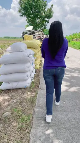 🌾💙#fyp #fyppppppppppppppppppppppp #viraltiktok #bojonegoro #mamamuda 
