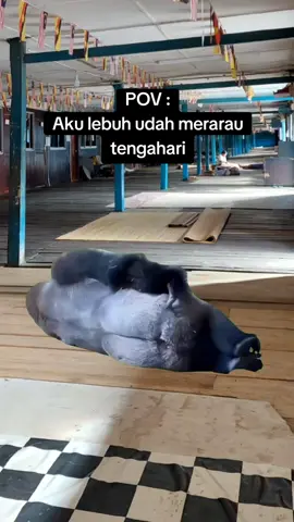 Nadai on akih 😂 #fyp #ibantiktok #sarawaktiktok #ibansarawak #sarawakian 