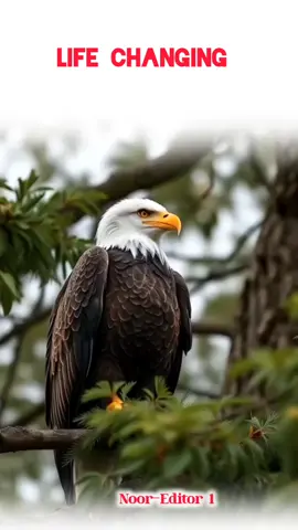 #creatorsearchinsights #motivationmentalité  #londonlife🇬🇧 