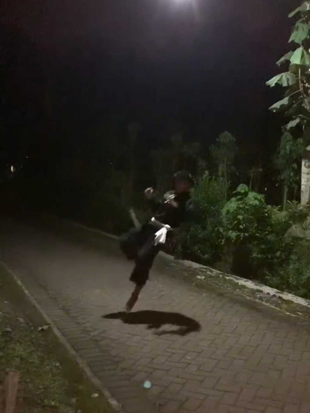 tasek belajar ☺️🙏🏻 #pshtbanyuwangi #banyuwangi  #fyp #xyzabc #psht 