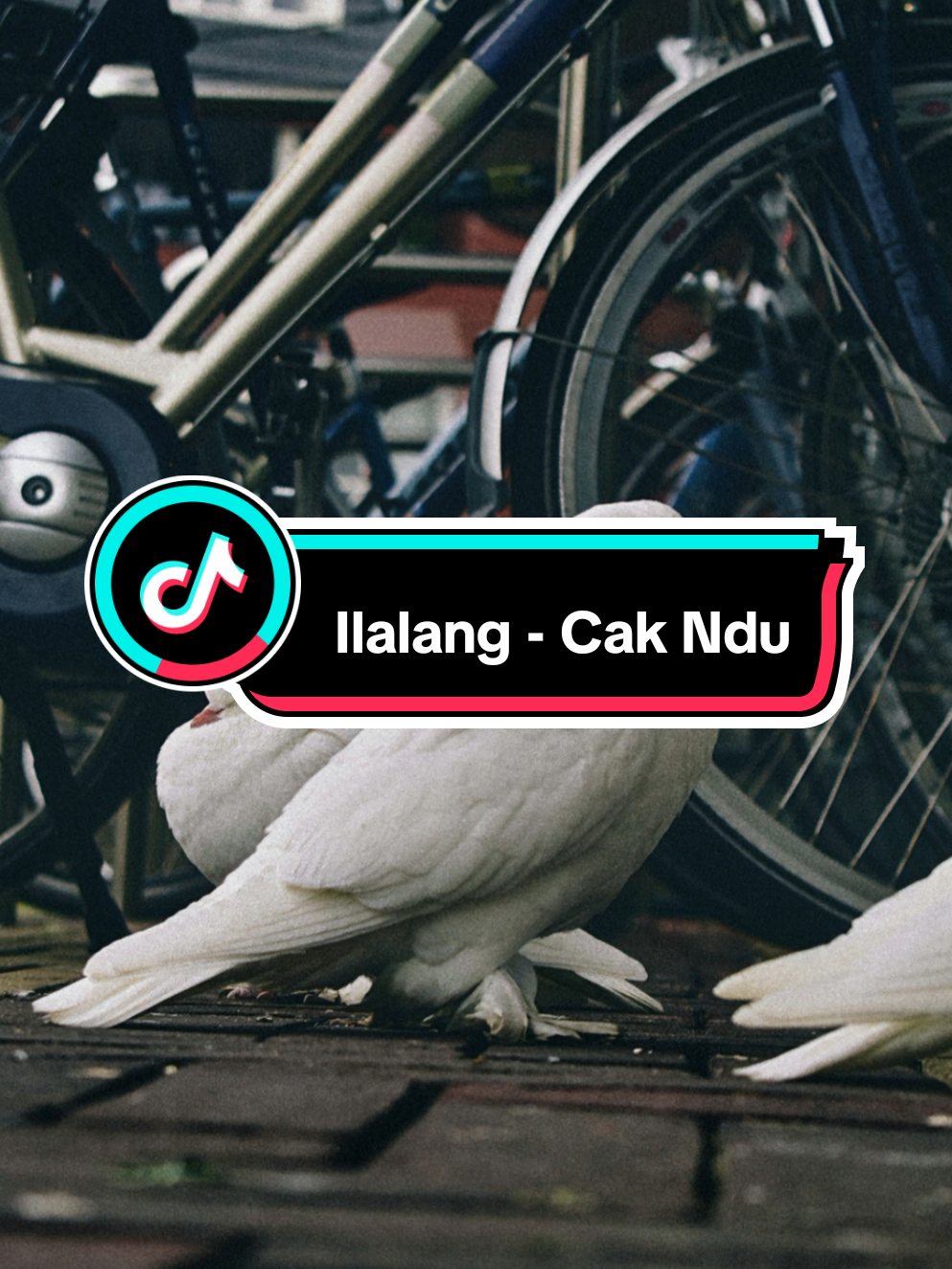 Ilalang - Cak Ndu #liriklagu #ilalang #cakndu  #foryoupage #fyp 