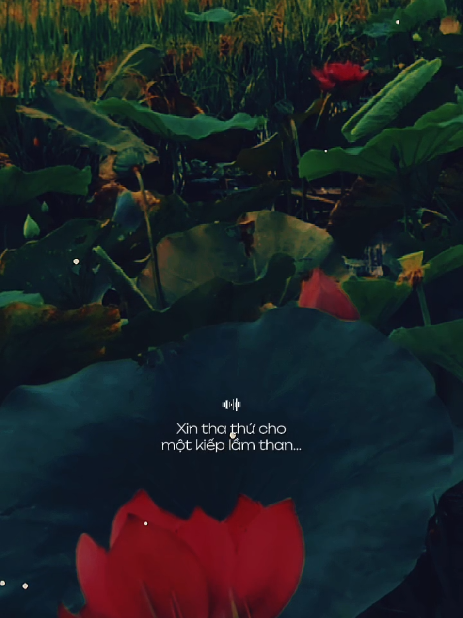 Trăm ngàn tội lỗi như sông dâng tràn... #maucapcut 