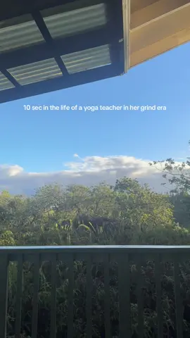 workin the land to pay da bills, private yoga client that I teach from a cafe after it closes, & my own practice (KEYYYYY) #yogateacher #entrepreneur #selflove #yoga #fyp 