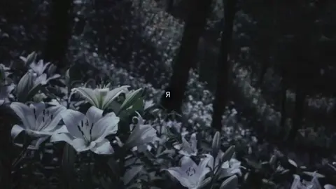 #warmmis #fyr #переписка 