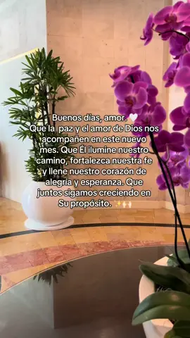 Feliz y bendecido inicio de mes, amor. 🙌🏻🤍 #iniciodemes #nuevomes #parejas #amor #fypシ゚ 