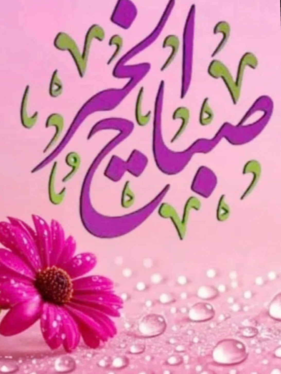 #CapCut. 🌹🌹🌹صباح الخير والسعادة والأمل والتفاؤل والتوكل على الله 🌹🌹