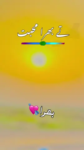 بھرا تاں جگر دے ٹکڑ ے ہوندن🥹❤️‍🩹🙏#foryou #foryoupage #viral #poetry #trend 