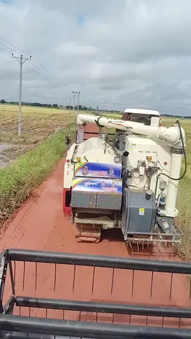 ရွာချင်တဲ့မိုးရွာတက်လာပီ😎#အနေထားဘာညာ😎😎 #အုံဖွစိုအကုန်လှရမယ်😍 #ရို့ရိုရိုရို့😜😘 #အနေထားဘာညာ😎😎 