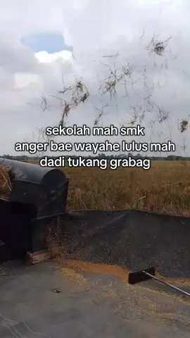 sing penting halal  #storytelling #indramayupride🏴‍☠️ #tarling_indramayu_cirebon #indramayu_taiwan #indramayu 