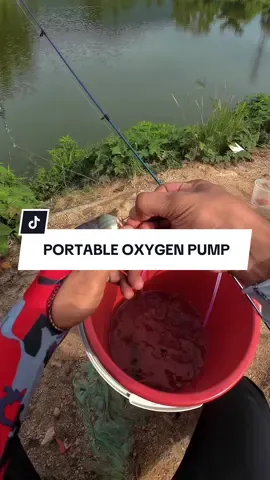 Padu betul oxygen pump ni. Bateri dia memang tahan lama geng. Takde la risau ikan yang aku nak tapau tu padam sebelum sampai rumah. Harga pump ni pon murah je dekat beg kuning tu.