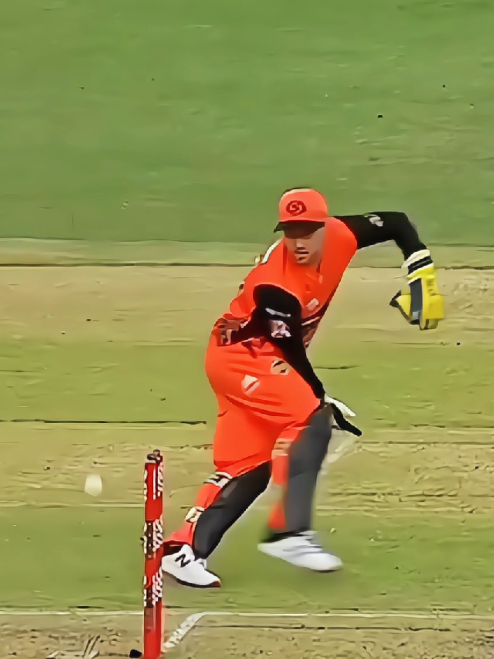 Top Best Direct Hit 🎯 Runout ❤‍🔥 #Best #Runout #cricket #cricketvideos #foryou  @Jeya 🥰👀  @À𝐇𝐌Å𝐃 🖇🔥  @Ò𝐑𝐇ÅÑ 🖇🍂🤍 
