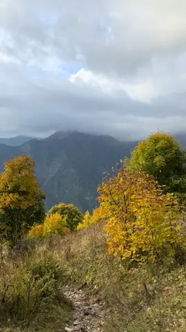 დღე მეორე : მეტეოზე ასვლა ⛰️🏔️🏡