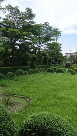 #foryou #tiktok #follajeartificial #humor #tiktok 