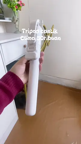 #tripod #tripodbluetooth #homeliving #kamaraesthetic #fypシ 
