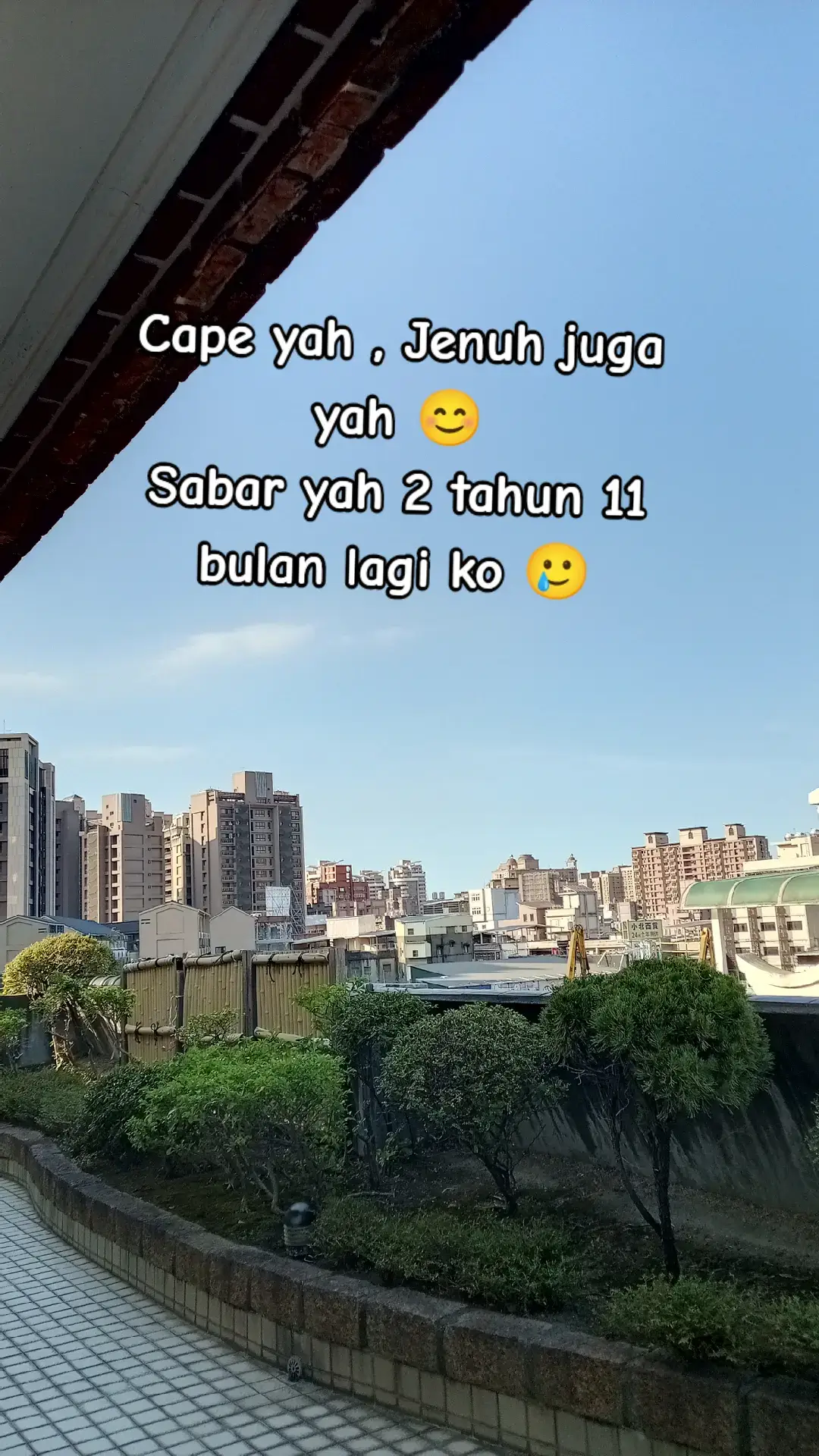 😊😊😊🥲🥲🥲 #taoyuan_taiwan🇼🇸🇻🇳 #taiwan🇹🇼 