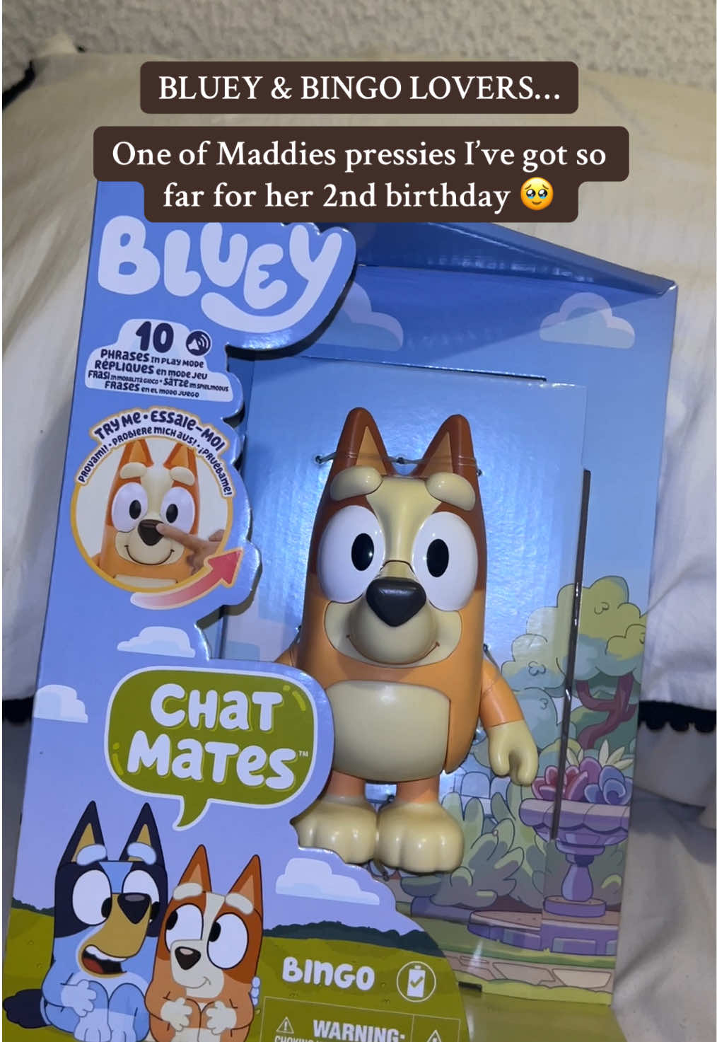 10 different phrases! Maddie will absolutely adore this little bingo 🥹❤️ linked above !  #blueyandbingo #mumtok #2ndbirthday 