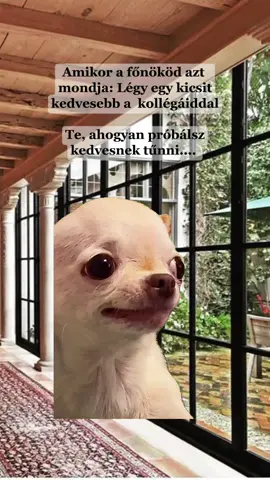 #CapCut #kedves #foryuou #fyp #csaknekedbe 