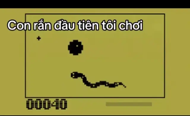 xì…xì…xì 🐍#xuhuong #viral #daihoccogivui 