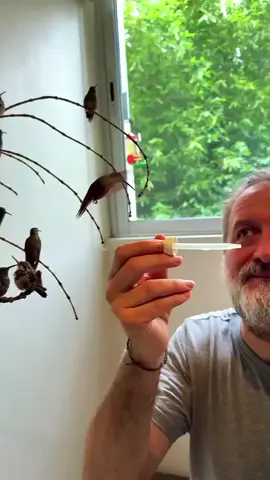 وقت بدل دیتا ہے عادتیں بھی، اور خواہشیں بھی