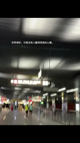 我也曾期待，有人能懂我的沉默。