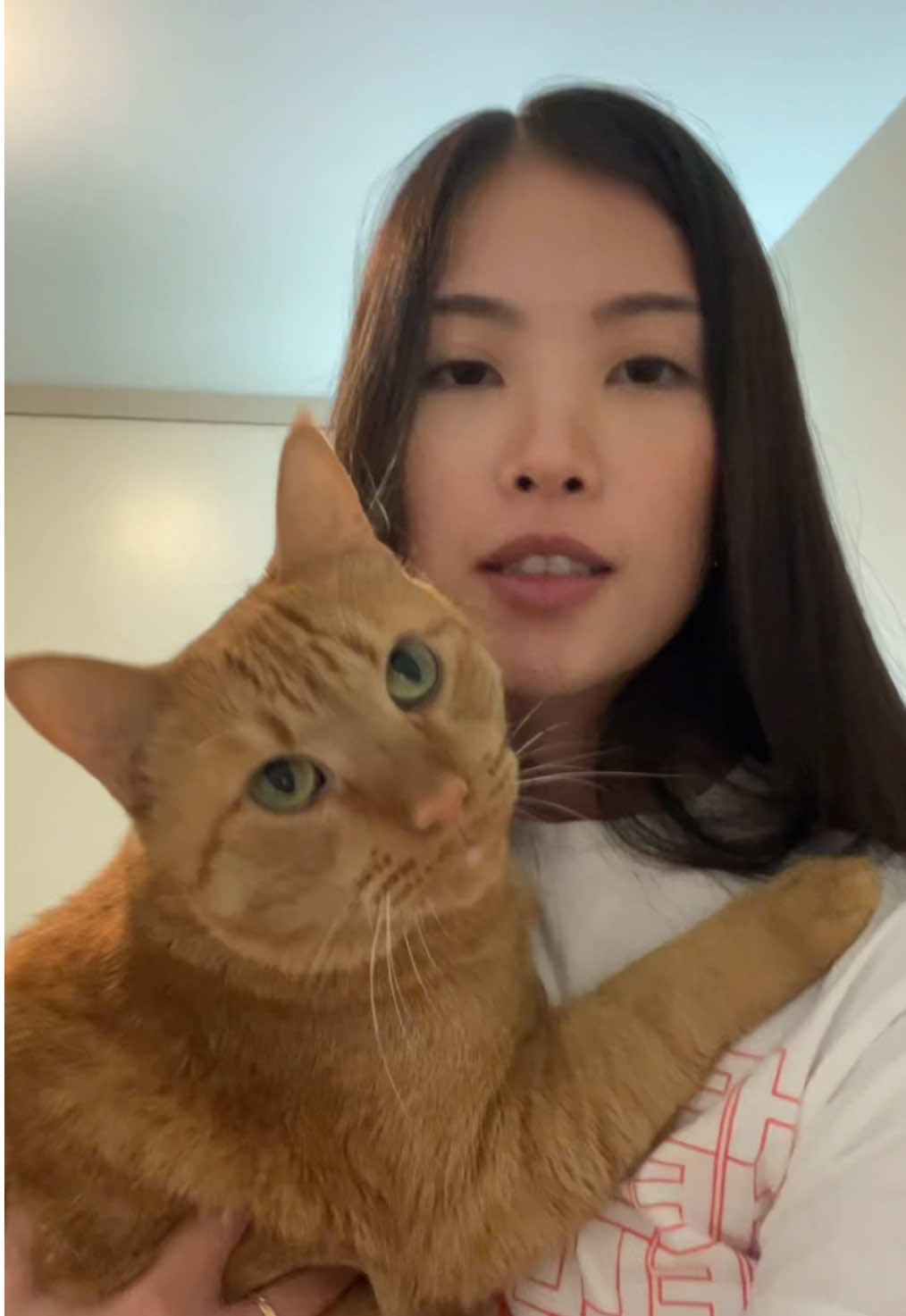 I’m guessing it doesn’t hurt him #catsoftiktok #fyp 