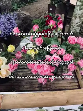 ဟုတ်တယ်မလား အချစ်လေး❤️‍🩹#fypシ゚ #fypdong #fyp #fyppppppppppppppppppppppp 