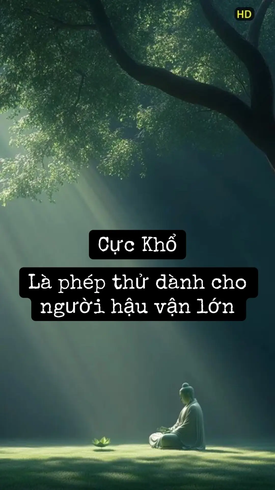 Nếu bạn thấy con đường mình đang đi sao gập ghềnh hơn người khác,… Xin đừng vội nản lòng.  Hãy tin rằng vũ trụ không bao giờ đặt một gánh nặng quá sức lên một đôi vai yếu đuối.  Nó đang rèn bạn, nó đang thử thách bạn.  Bởi vì đau khổ không phải là sự trừng phạt.  Nó là lò luyện của bản lĩnh. 🍀 ___ #thongdiepcuocsong #nangluongtichcuc💪🍀 #phattrienbanthan #tuduythanhcong #timlaichinhminh #fyp #xuhuong 
