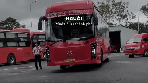 Vô mùa mưa bão r các anh các chú đi đường cẩn thận nhẹ chân ga nhé 🥰🥰@tài xế nghèo @ĐiBụiOnline.22 @phanloc @Hiển_Futa_47 @Vũ Liều ( TO❤️ ) #futabusline_19006067 #xekhachvietnam #dalat #kimlong #xuhuong 