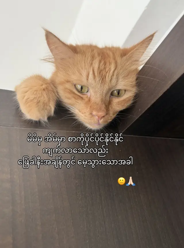 #ဒိုးခပဲ #fypppppppppppppp 
