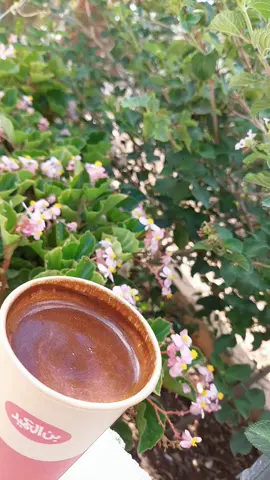 صباح الخير 🤍🕊 . #الوفي_حظه_مثل_حظ_الشقي #اكسبلورexplore #اربد #CapCut 