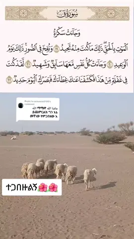 Replying to @zuzuzuzu3100 #القران_الكريم_راحه_نفسية🕋🎧🕋 
