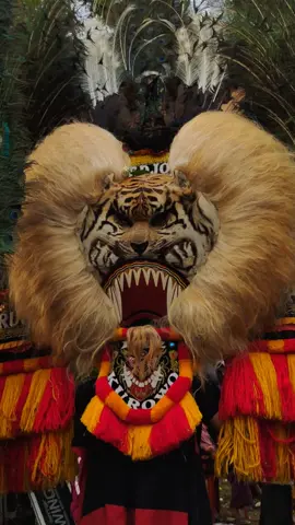 anoman sama paman singo ae nggeh..pasti paman singo akan jagain anoman. #reogponorogo #reog #masukberanda #fyp #fyppppppppppppppppppppppp 