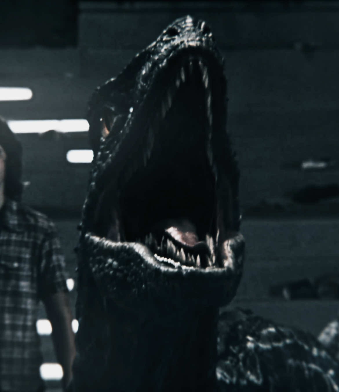 Blue | #edit #jurassicworld #velociraptor #velociraptorblue #dinosaurs 