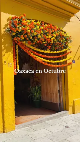 Oaxaca in October 🧡 POV: Día de Muertos in Oaxaca City #diademuertos #dayofthedead #oaxaca #oaxacacity #oaxacadiademuertos
