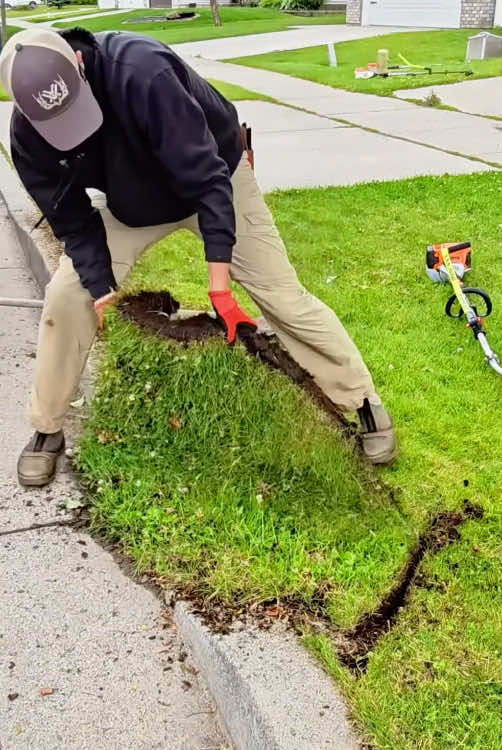 #garden #cuttinggrass #cleaning #jardin #fyp 