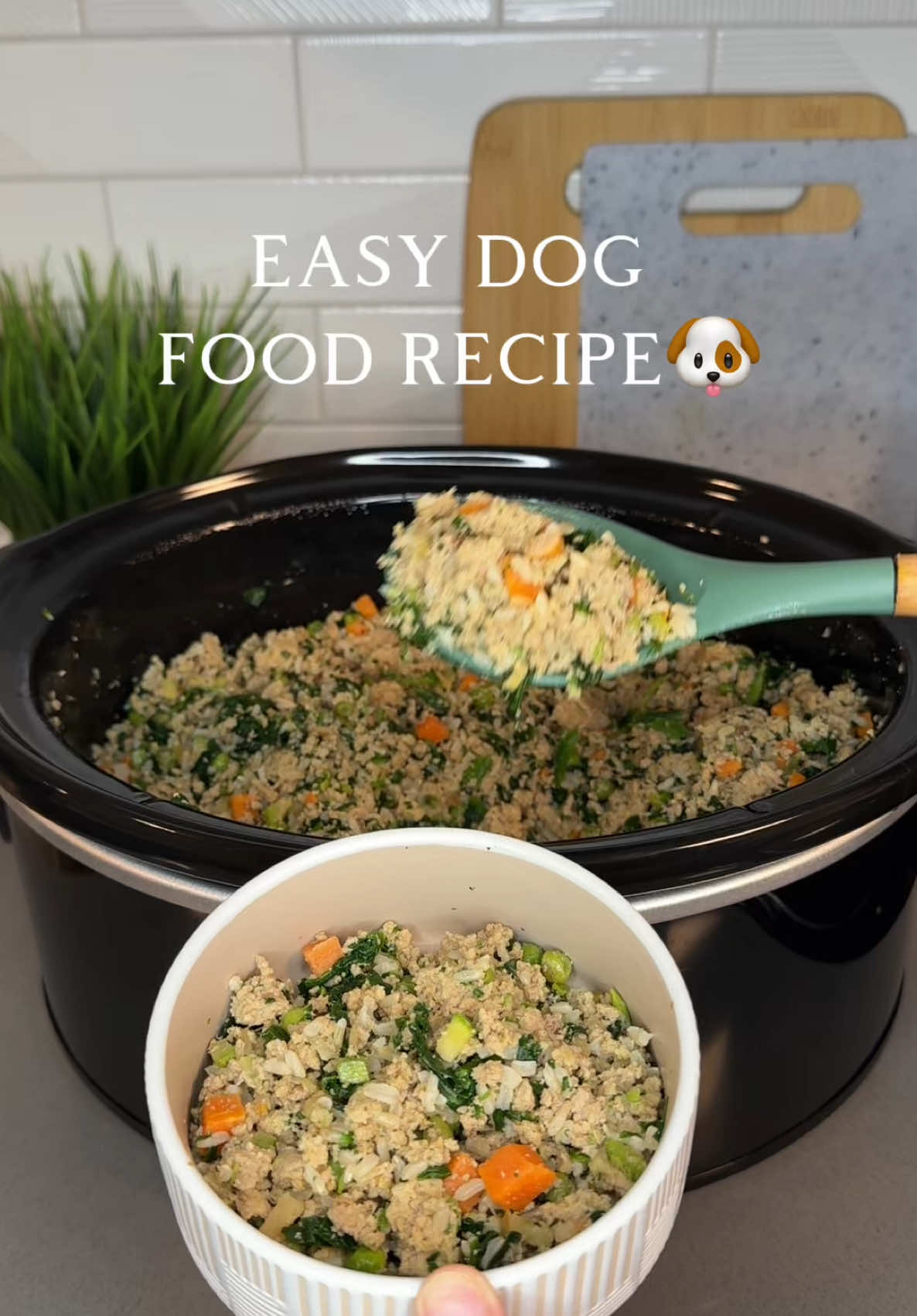 Homemade dog food in slow cooker🥩🥕🫛 Ingredients: 	•	3 pounds lean ground turkey 	•	2 cups peas and carrots 	•	1 zucchini 	•	1 apple 	•	2 eggs 	•	1 teaspoon ground ginger 	•	1 teaspoon turmeric 	•	Pinch of black pepper  	•	1 can sardines in water 	•	1 cup brown rice 	•	1 cup spinach        •     @Dog is Human multivitamin #homemadedogfood #dogfoodrecipe #dogsoftiktok #healthydogfood #dogfood 