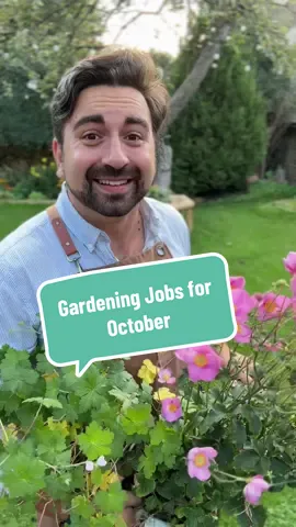 Today's daily gardening tips cover a selection easy gardening jobs for October. Whether you're winding down the garden or getting ready for winter displays, there is still plenty to do! My gardening tips for beginner gardeners will help you learn what gardening ideas you could do in October #gardeningtips #gardeningforbeginners #october #planttips #plantcare 