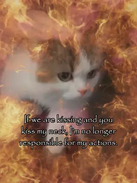 😁😁 #meme #relatable #joke #rizz #cattok 